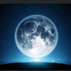 Meet your Posher, Rocio